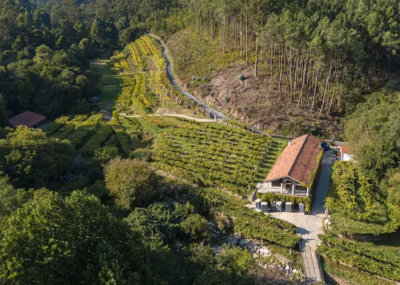 Bodega Entre Os Ríos - A Pobra do Caraminal