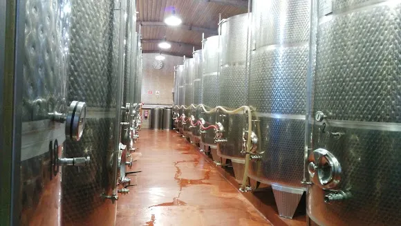 Bodegas Virgen De Lorea - Bizkaiko Txakolina - Zalla
