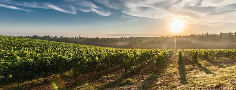 VINOS JAVIER - Artziniega