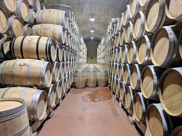 Bodegas Luis Cañas