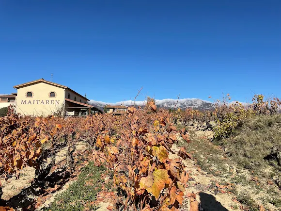 Bodegas Rodolfo Garcia Martelo - Navaridas