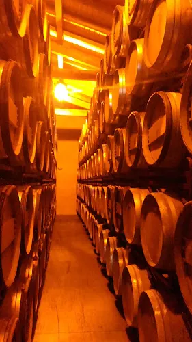 Bodegas Medrano Irazu