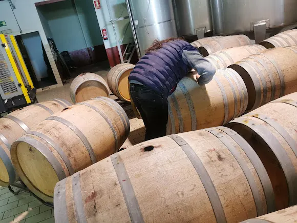 Bodegas Nubori