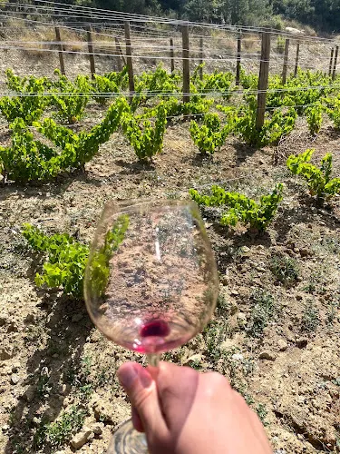 Bodegas Bhilar /DSG wines