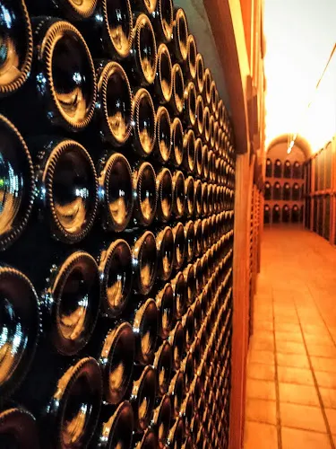 Bodegas Campillo