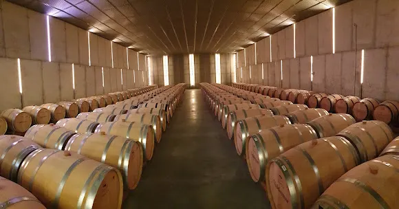 Bodegas Valdemar