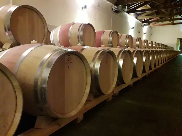 Bodega Viñedos De Paganos - Laguardia