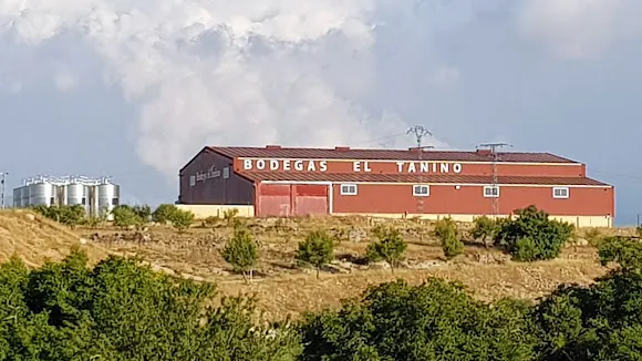 Bodegas El Tanino - Hoya-Gonzalo