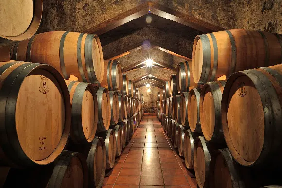 Bodegas Coop. Santiago Apóstol de Montealegre del Castillo