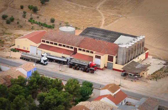 SIALBA - San Isidro Albatana Bodegas