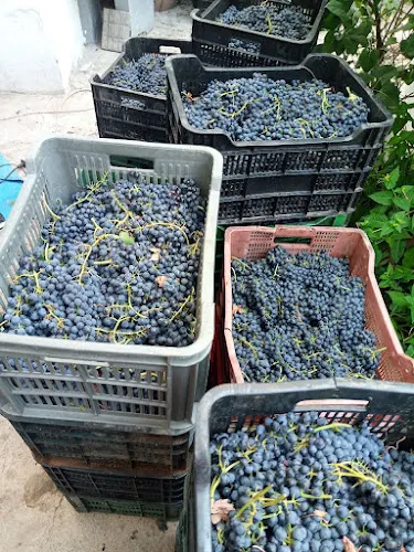 Bodegas Locuaz