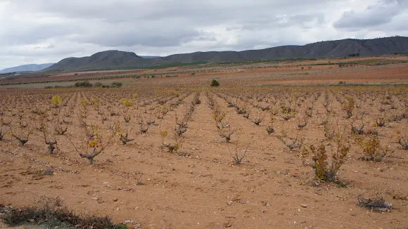 Bodegas Josede