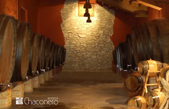 Bodega Chaconero - Agost