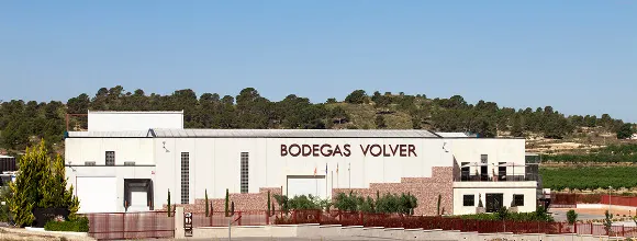 Bodegas y Viñedos Volver