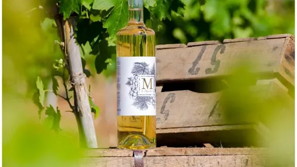 M de Alejandria. Finca La Alberca - Teulada