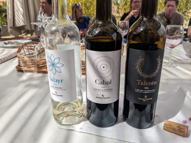 Bodega Fuente Victoria - Fondon