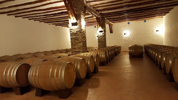 Bodega Mendez Moya - Vino ecológico, vegano y sin sulfitos añadidos - Dolar