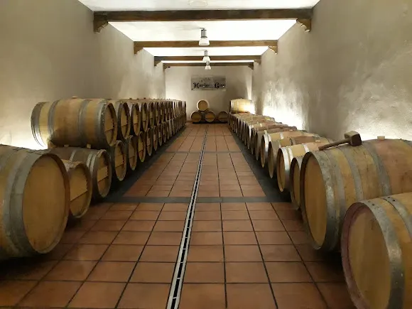 Bodega Monasterio de Corias - Cangas del Narcea