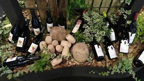 Bodega Vidas - Cangas del Narcea