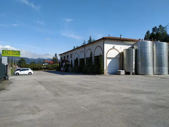 Sidra Cortina. Llagar con tienda de sidra y visitas guiadas - Villaviciosa