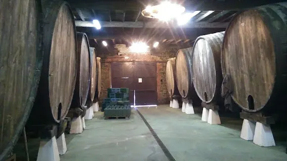 Sidra Buznego - Gijón