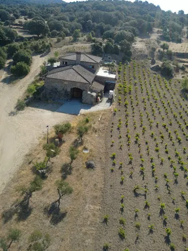 Bodega 7 Navas Garnacha Alto Alberche - Navaluenga