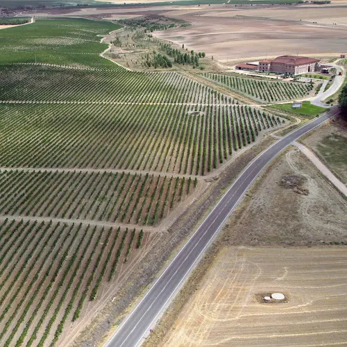 Castelo de Medina - bodegas - Villaverde de Medina