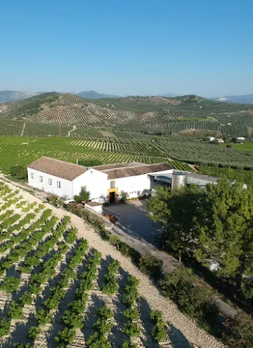 Bodegas Maillo - Montilla