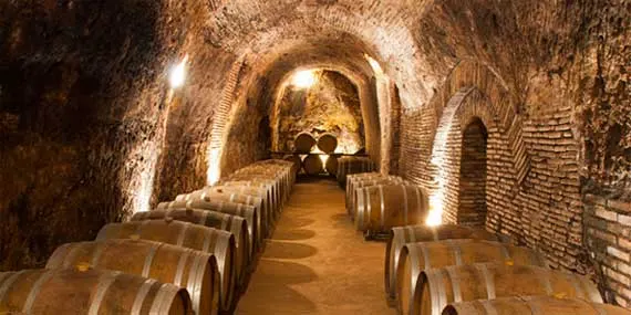Bodega Solar De Muñosancho