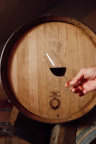 Bodega Siguín - Pelayos de la Presa