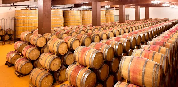 Bodegas Fariña - Toro