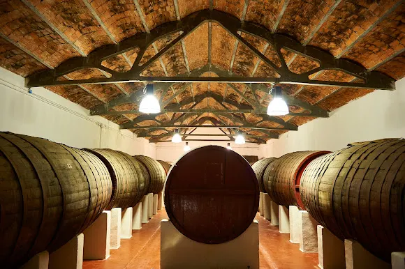 Bodegas De Alberto