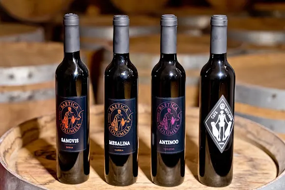 Bodegas Medina Hermoso Envidia - Medina de las Torres