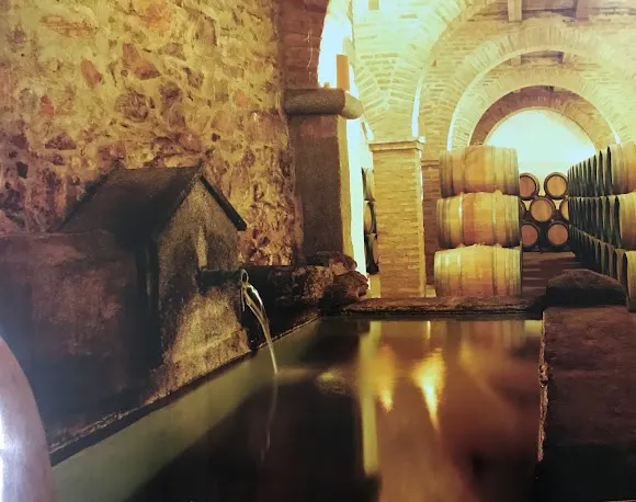 Bodegas Medina - El Convento