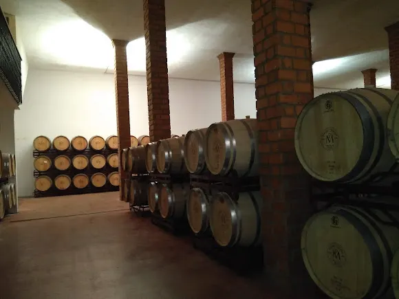 Bodegas Martínez Paiva - Almendralejo