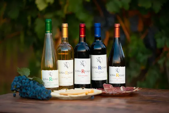 Bodegas Regajo - Fregenal de la Sierra