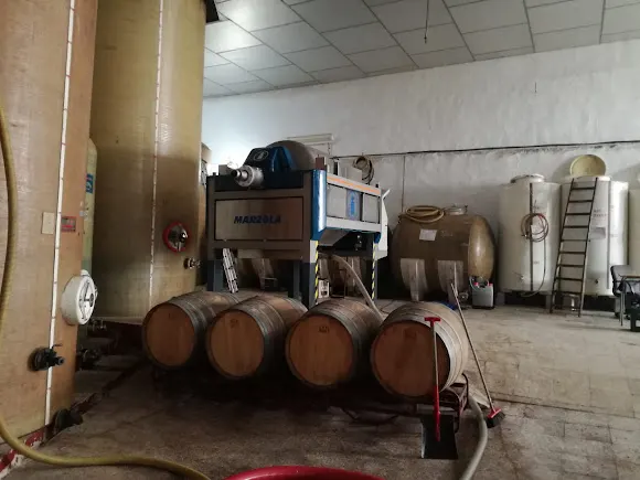 Bodegas Pérez Palomino