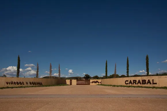 Bodega Carabal - Bodega en Alia