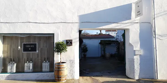 Bodegas Tierra Savia (Bodega, tienda y vinoteca. Visitas guiadas)