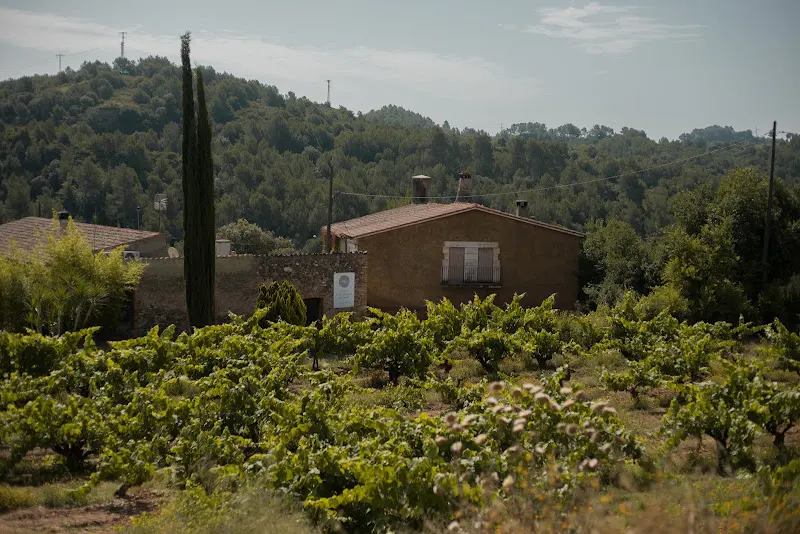 Celler Can Morral del Molí - Abrera