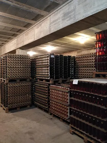 Vinya Escudé - Celler Jordi Lluch - Sant Quinti de Mediona