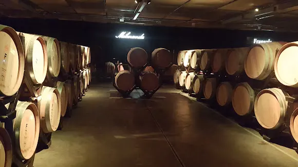 Torres Bodegas (LOGISTICA) - Pacs del Penedes