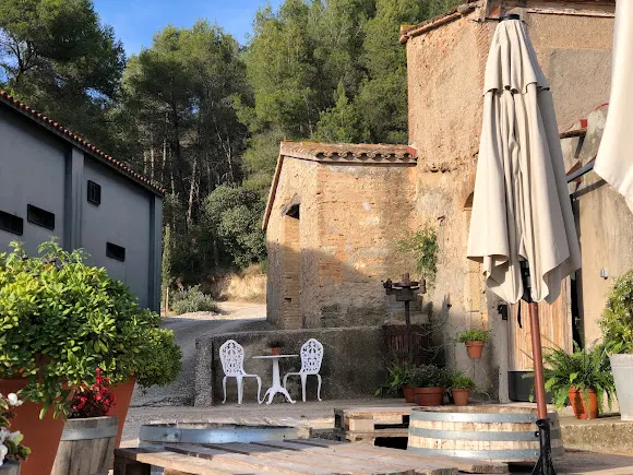 VINS EL CEP - Sant Llorenc dHortons