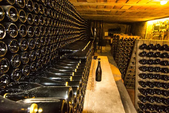 Bodega Vins L Caves Cuscó Berga - Avinyonet del Penedes