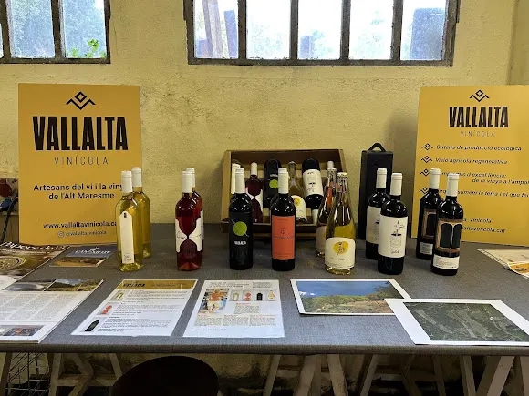 Vallalta Vinícola - Sant Cebria de Vallalta