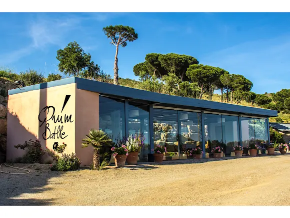 Bodega Quím Batlle