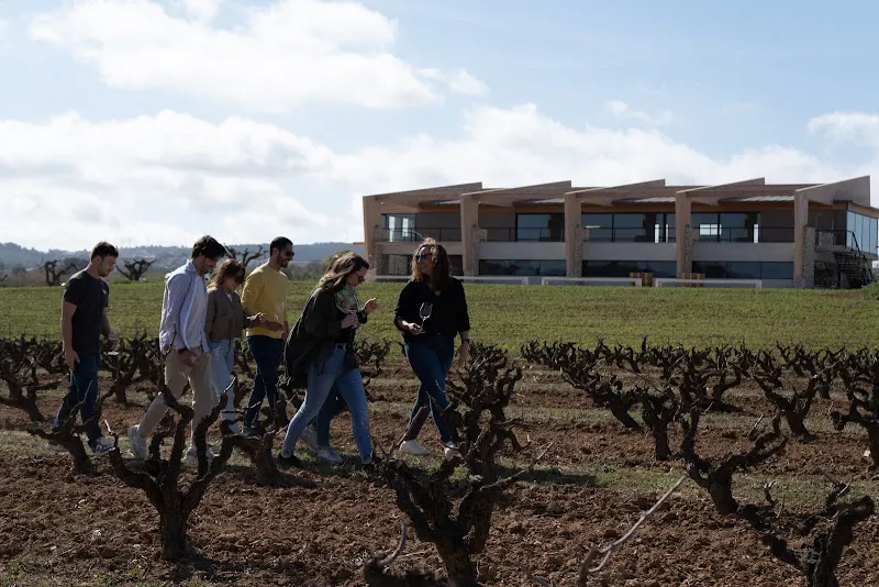 AT Roca - Celler i visites