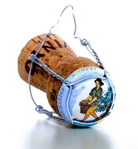 CAVA AVINYÓ