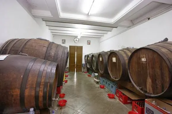 Celler Can Costa - L'Hospitalet de Llobregat