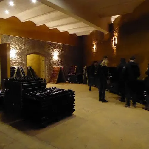 Celler Mas dels Clavers Finca Can Gallego